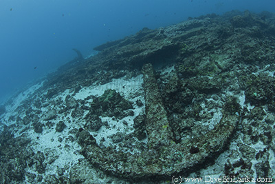 Bottle Wreck Anchor